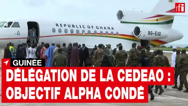 Guinée - délégation de la CEDEAO : objectif Alpha Condé  • RFI