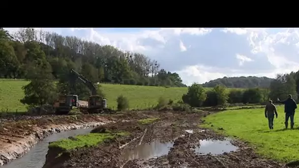 Environnement. La Scie : quand la nature reprend ses droits