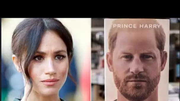 Meghan Markle et Harry se tournent vers l'avenir du « couple puissant » alors que la stratégie « aid