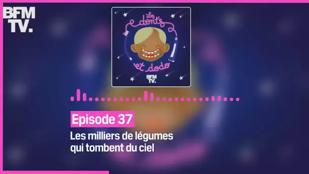 Episode 37 :  Les milliers de légumes qui tombent du ciel - Les dents et dodo