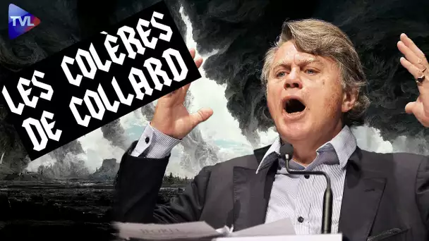 Les colères de Collard - La Justice libère les étrangleurs !