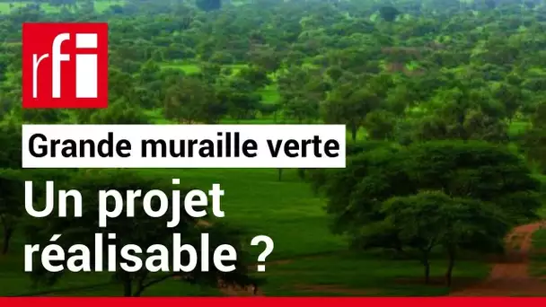 Lutte contre la désertification :  pourquoi la Grande muraille verte avance si lentement ? • RFI