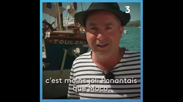 Parlez-vous le sud à Toulon ? Que veut dire "Moco" ?