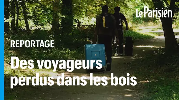 La gare de Bercy fermée pour les JO, les voyageurs attendent leur bus dans les bois