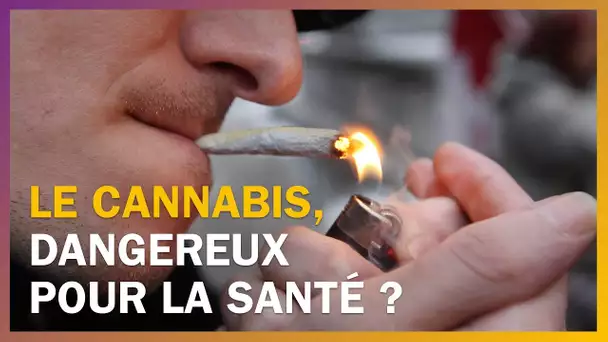 Le cannabis est-il dangereux pour la santé ?