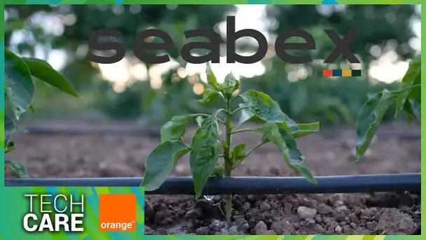 Tech Care avec Orange : Amira Cheniour de Seabex.