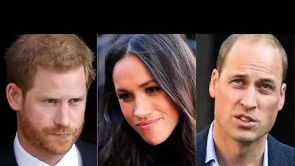 Le prince Harry et Meghan Markle « plus attachants » que William et Kate « retenus »