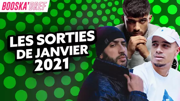 Les sorties d'albums du mois de Janvier 2021 !