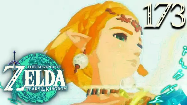 Zelda Tears of the Kingdom #173 : WTF ?! LE JEU BOULEVERSÉ ! NE SERA PLUS LE MÊME 😍