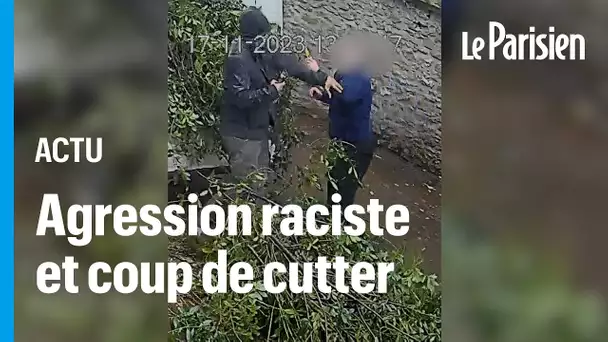 Agressé au cutter à la gorge, Mourad, un jardinier de 29 ans, a frôlé la mort