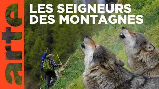 Marche avec les loups | ARTE Family