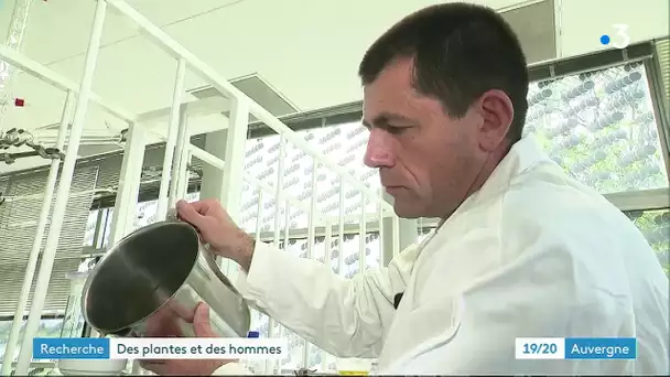 A Sigma Clermont, la chimie explique l'action des plantes médicinales