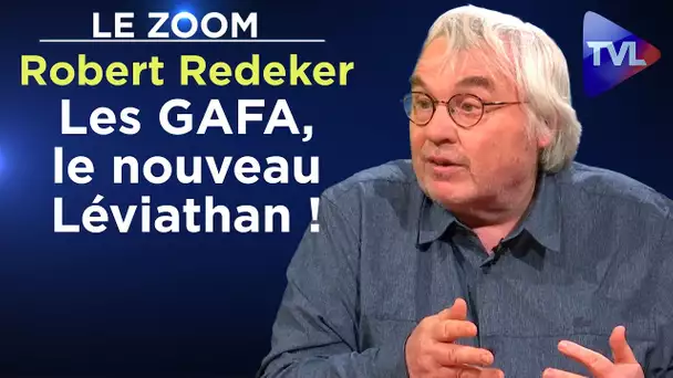Les GAFA, le nouveau Léviathan ! - Le Zoom - Robert Redeker - TVL