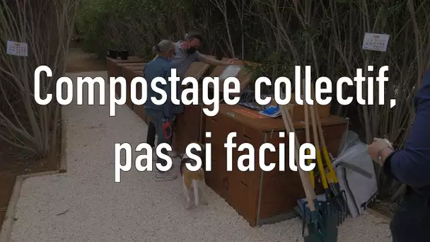 Le compostage collectif de quartier, pas si facile