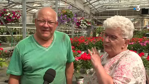 La passion des geraniums genere des disputes 1