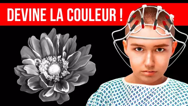 Quelle Est La Puissance De Ton Intuition ? Réponds À Ce Quiz Pour Le Découvrir