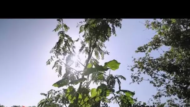 Une ferme en permaculture à Chédigny dans "On vous embarque"