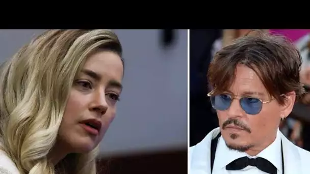Johnny Depp en panique avec Amber Heard, un livre déballage déjà préparé