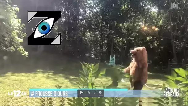 [Zap Télé_2] Un homme déguisé en grizzly parvient à faire fuir un ours de son jardin (09/06/23)