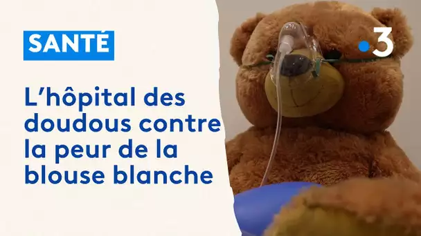 À l'hôpital des nounours, les étudiants en médecine soignent la peur de la blouse blanche