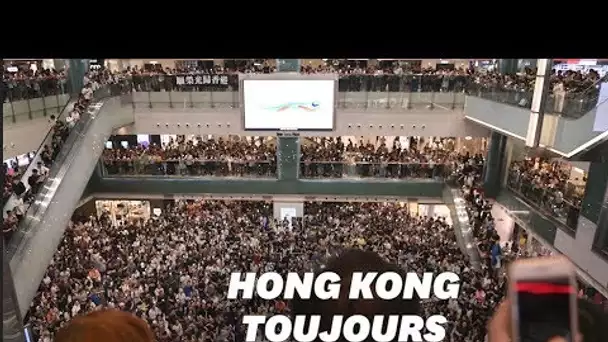 À Hong Kong, pourquoi les manifestants continuent leurs actions