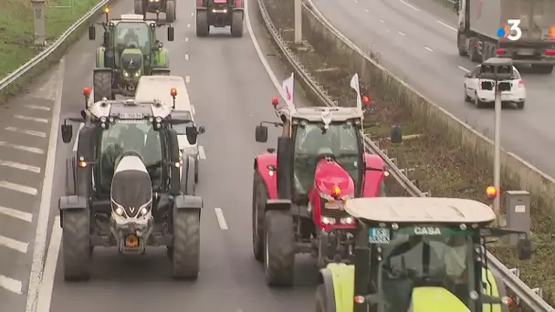 Des dizaines d'agriculteurs nordistes manifestent contre les zones de non-traitement aux pesticides