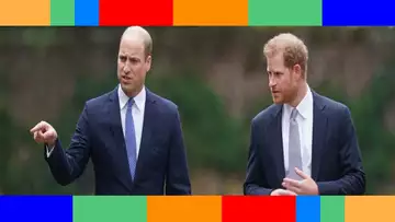 Jubilé d’Elizabeth II  “pas un regard”… atmosphère glaciale entre William et Harry
