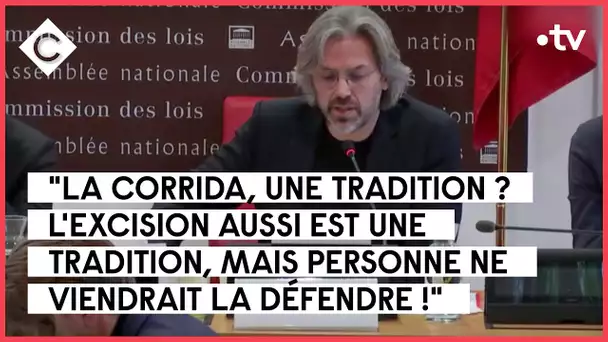 L’Assemblée n’a pas mis à mort la Corrida - La Story de Mohamed Bouhafsi - C à Vous - 16/11/2022