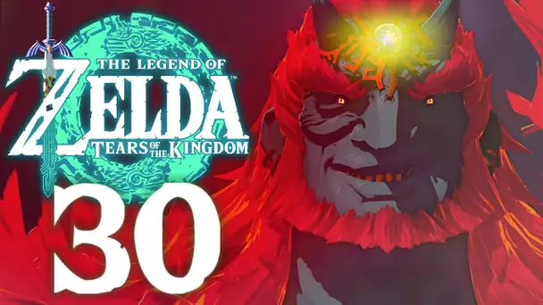 ZELDA TEARS OF THE KINGDOM #30 | GANONDORF LE ROI DEMON !