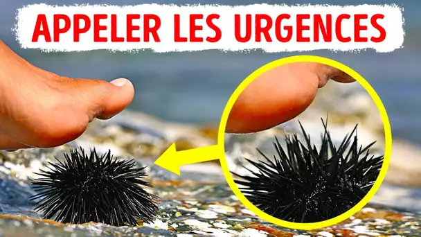 Créatures marines que vous ne voulez jamais rencontrer