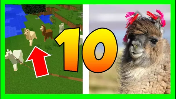 10 CHOSES QUE TU NE SAVAIS PAS SUR LE LAMA !! - MINECRAFT 1.11