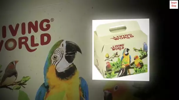 Living World Bird Carrier Cardboard Box