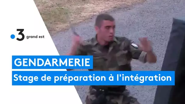 Gendarmerie : stage de préparation pour intégrer sa réserve.