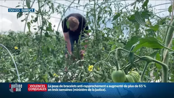 Contre la nouvelle PAC, des centaines d’agriculteurs bio vont manifester à Paris