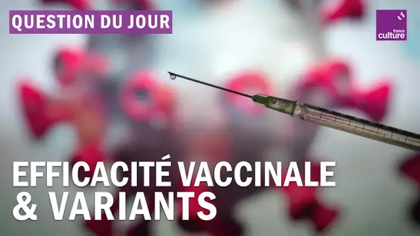 Covid-19 : les vaccins pourraient-ils ne pas venir à bout de la pandémie ?