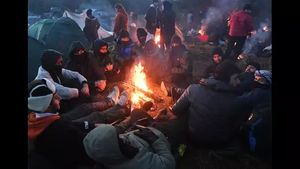 Un important camp de migrants s'installe à la frontière entre Pologne et Biélorussie
