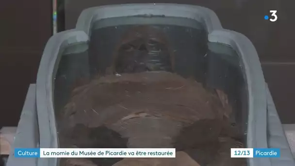 Amiens (Somme) : la momie du musée de Picardie part en restauration à Versailles dans les Yvelines