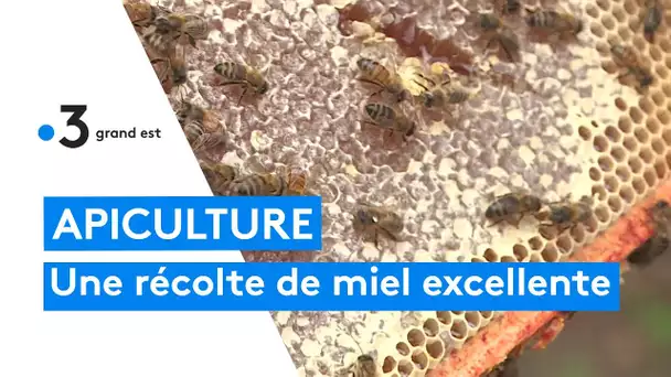 Un miel de qualité à retrouver en quantité pour la récolte 2022