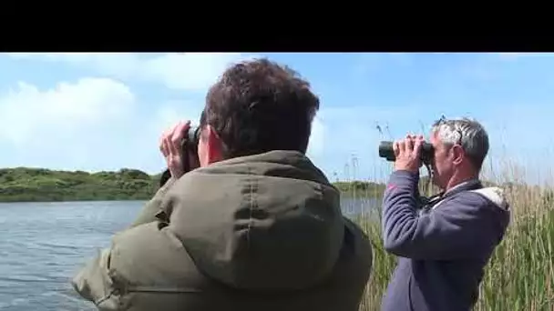Les amoureux de la Baie d'Audierne s'exposent tout l'été à Tréguennec