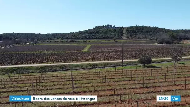 Les ventes de vins rosé de Provence à l'export s'envolent