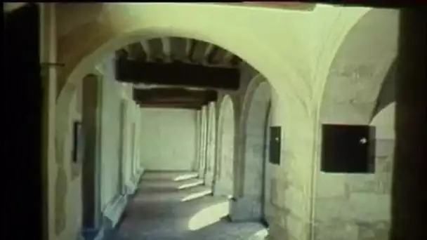 Musée d'art et d'histoire de Saint Denis