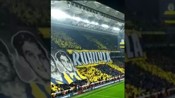 🤩 L'incroyable tifo des supporteurs de Fenerbahçe #shorts