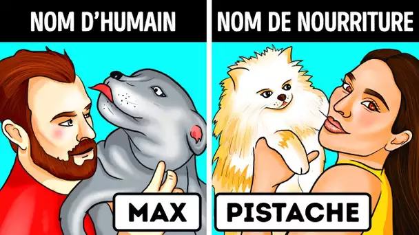 Dis-Moi Quel Nom Porte Ton Animal, et je te Dirai Qui tu es