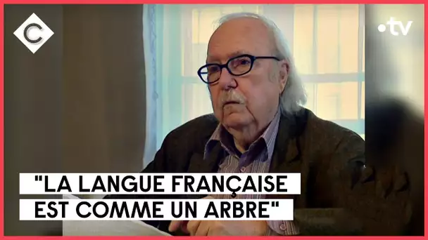 Le dico ultime, 6 kg de lecture ! - L’Oeil de Pierre Lescure - C à Vous - 24/10/2022