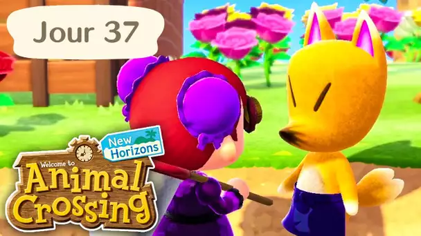 Jour 37 | Rounard débarque ! | Animal Crossing : New Horizons