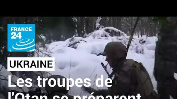 Crise ukrainienne : les troupes françaises en exercice pour l'Otan en Estonie • FRANCE 24