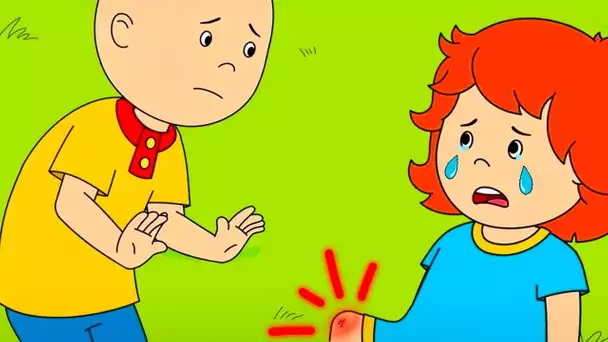 Rosie se Blesse | Caillou en Français | WildBrain Enfants