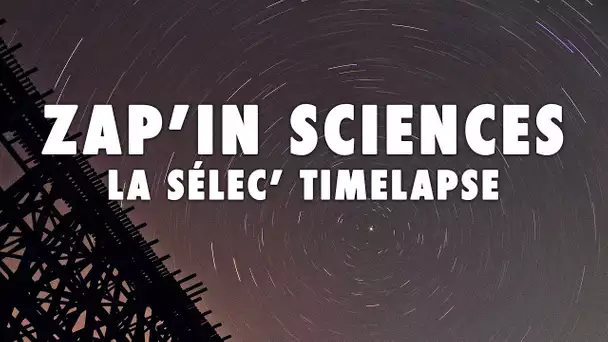 Zap'In Sciences : La sélec' timelapse - L'Esprit Sorcier