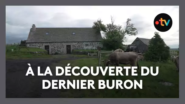 Le dernier buron en activité du plateau de l'Aubrac
