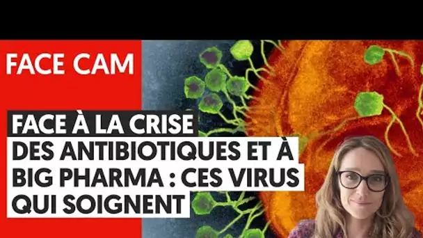 FACE À LA CRISE DES ANTIBIOTIQUES ET À BIG PHARMA : CES VIRUS QUI SOIGNENT | CHARLOTTE BRIVES